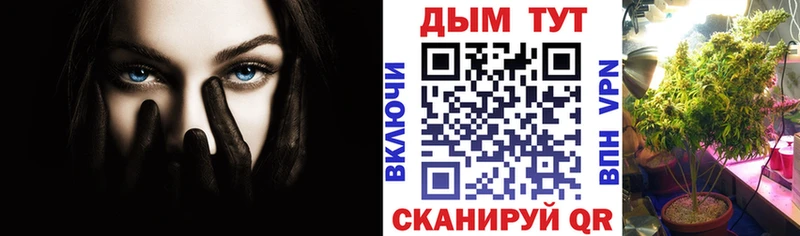 Марихуана сатива  купить наркоту  Юрюзань 
